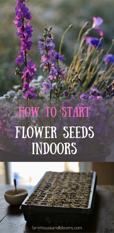 How to Start Flower Seeds Indoors