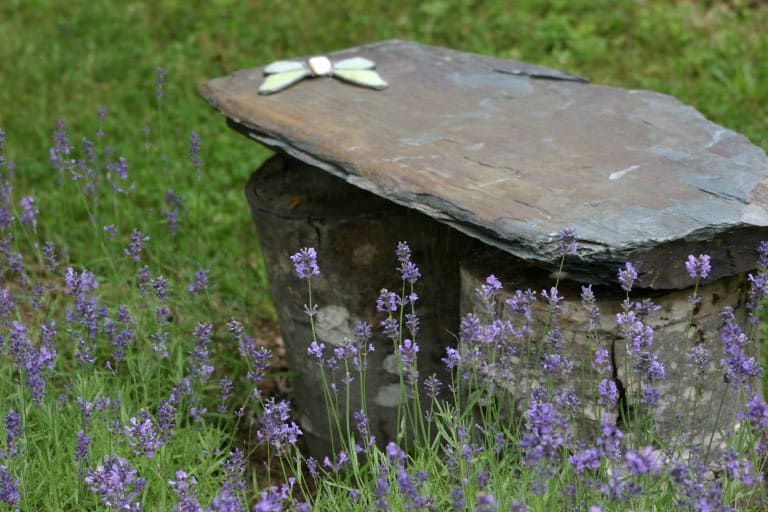 a stone bench outside with purple lavender plants growing next to it