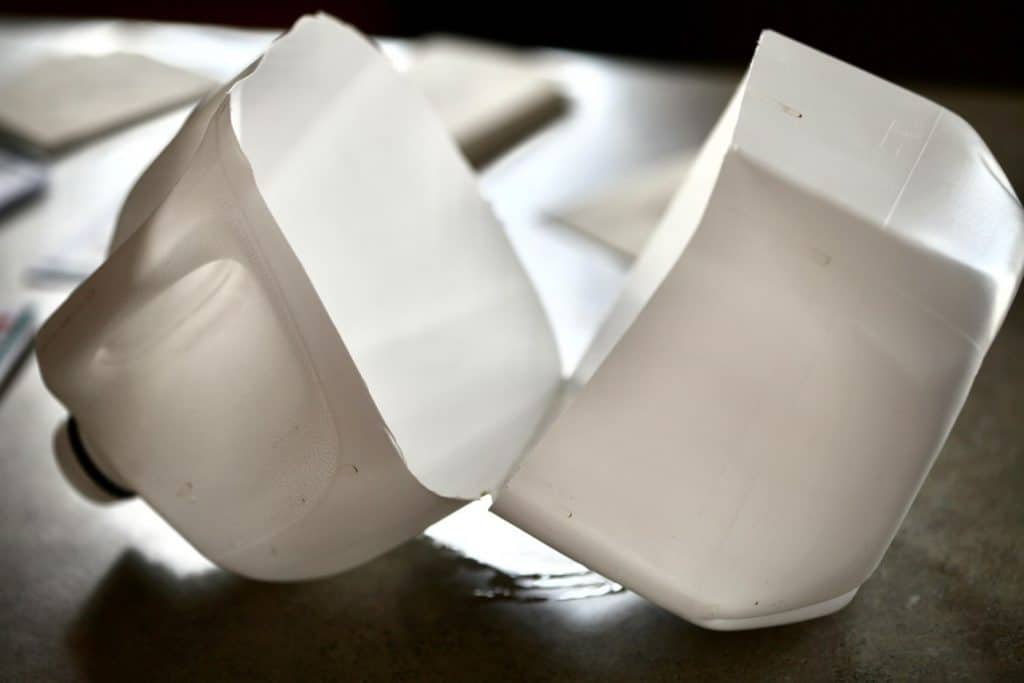white milk jug cut in half for winter sowing
