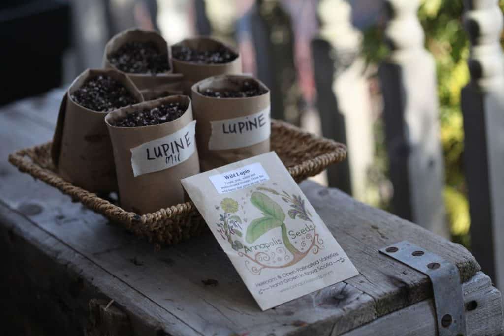 paper pots made out of Kraft paper filled with soil, displayed in a basket on a grey wooden box, with an artfully decorated seed packet placed in front of the basket
