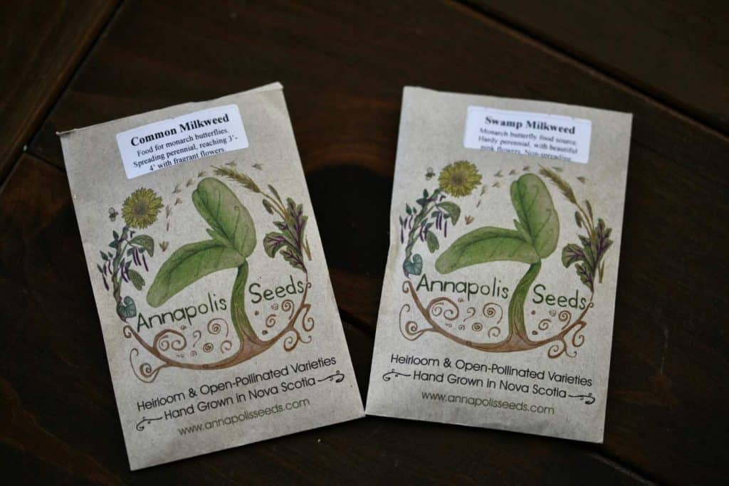 two seed packages of different types of milkweed seeds to be planted in winter
