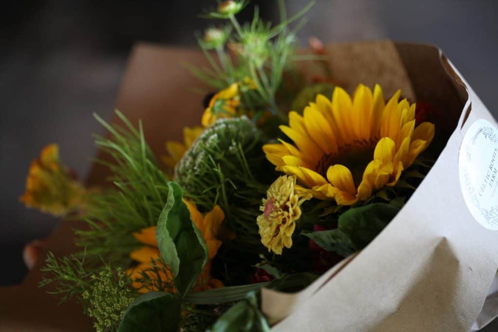 how to plant sunflowers for a mixed bouquet of yellow flowers with green leaves