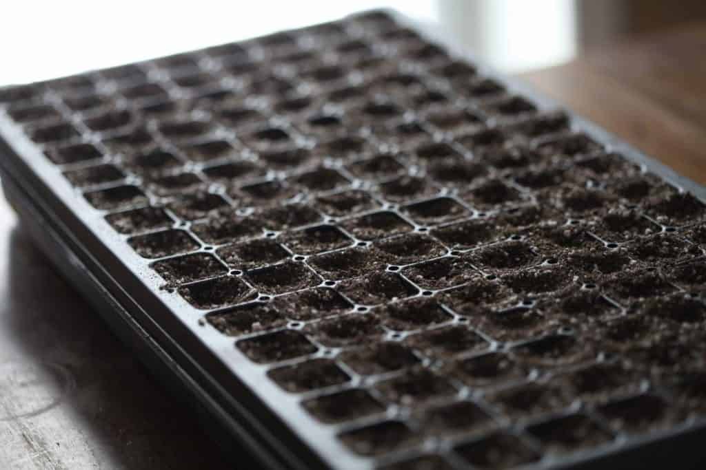 a seedling tray full of potting soil