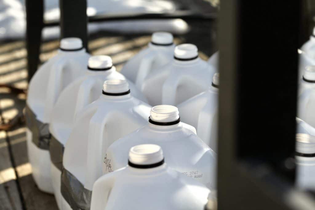 winter sowing in group of empty white milk jugs