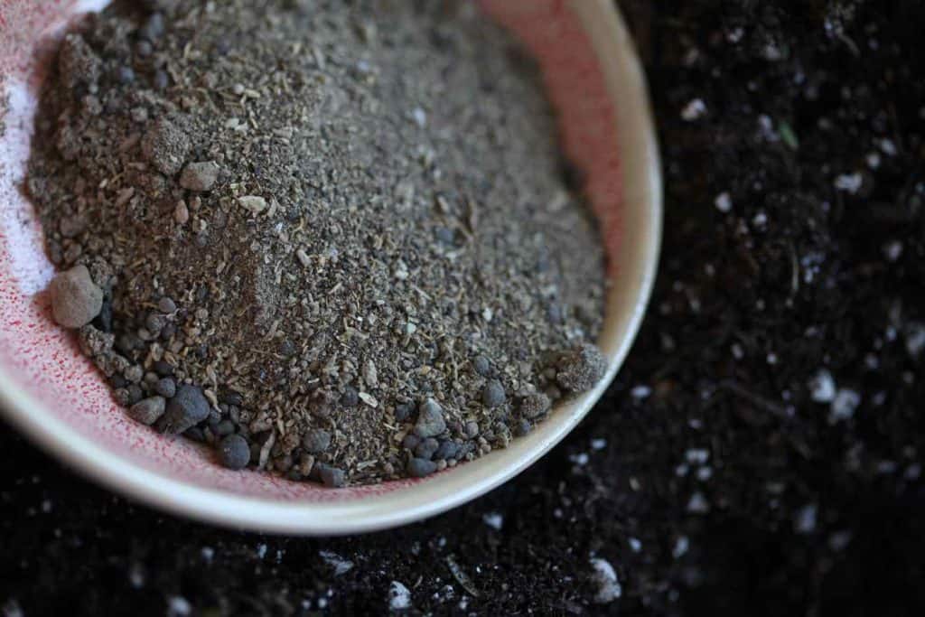 pink bowl with organic fertilizer guaia green, going to add to dark brown soil