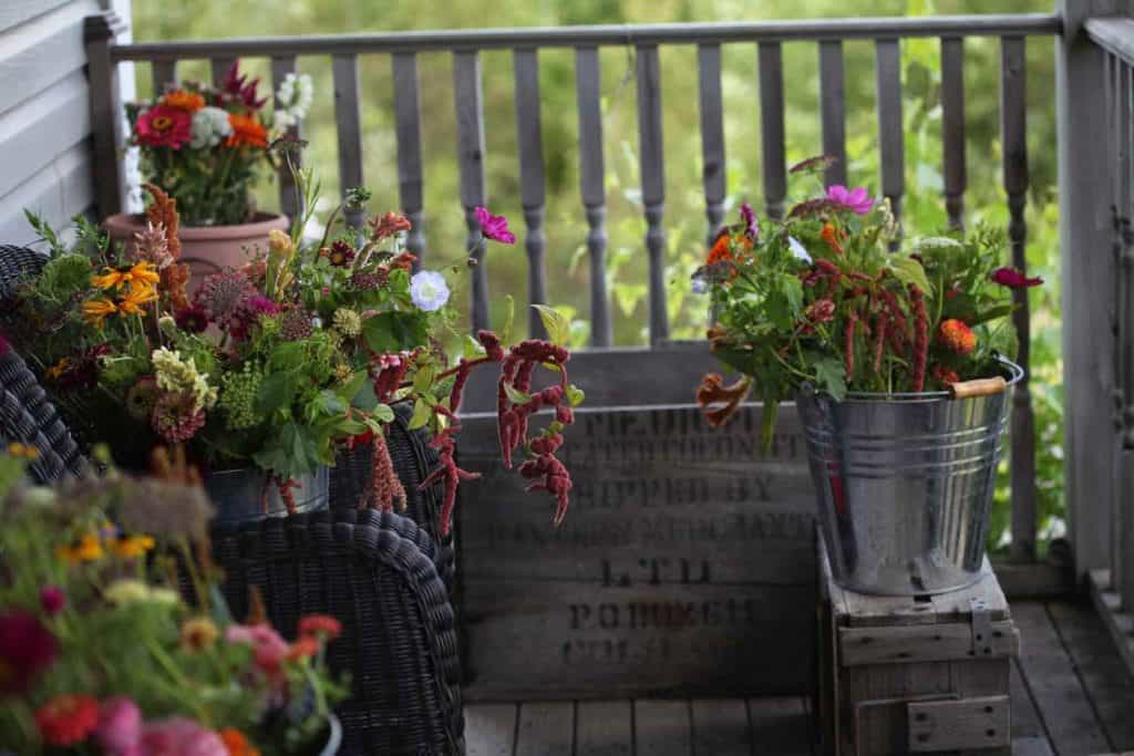 lots of different colourful flowers in buckets on a porch