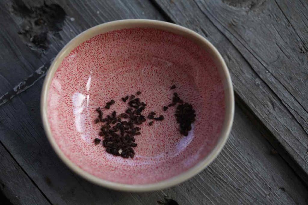 pink bowl containing black delphinium seeds, on a grey wooden box