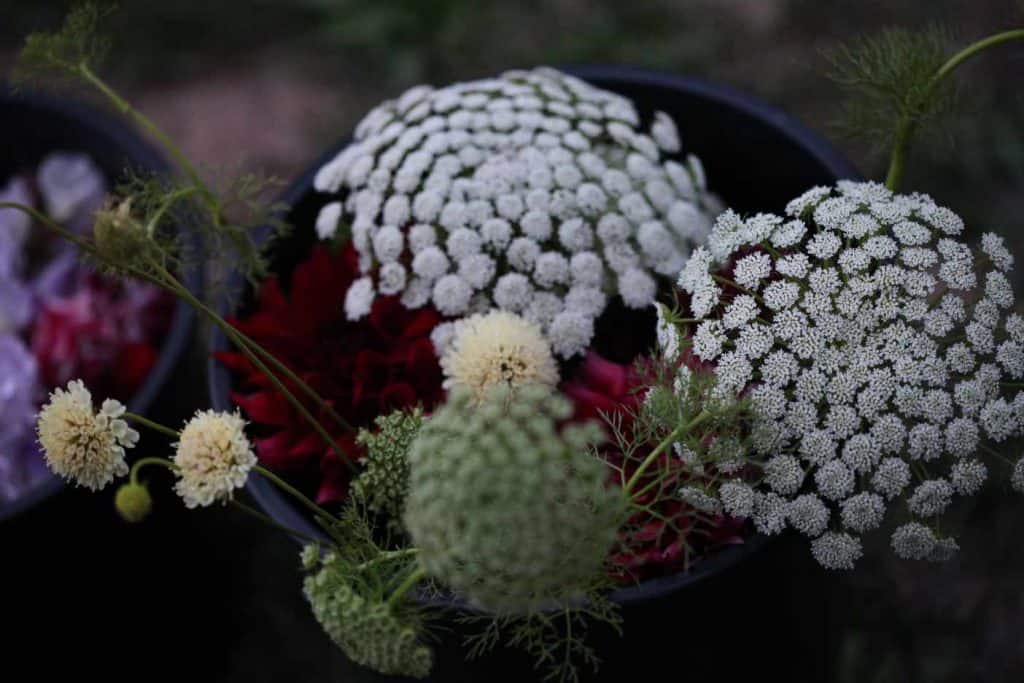 black bucket of different blooms  from the garden