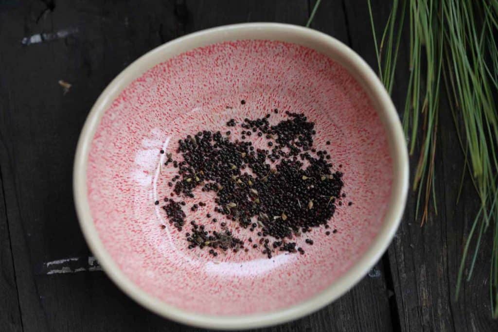 small black round celosia seeds in a pink dish on grey wood