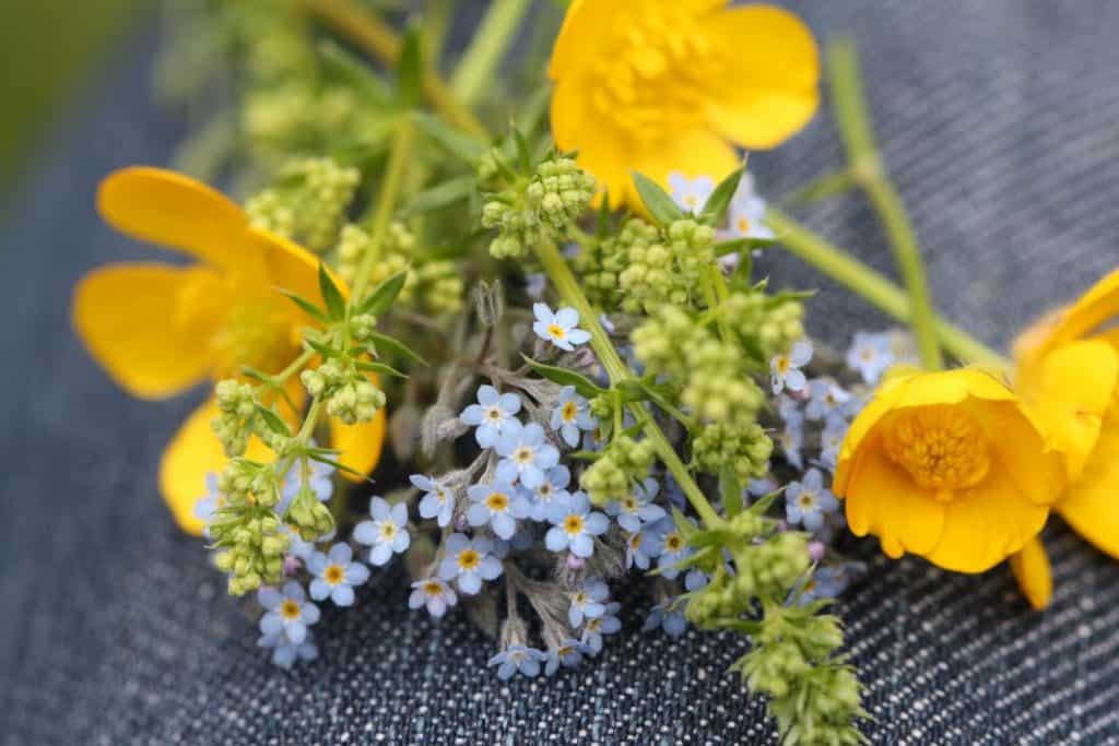 a small bouquet of forget me nots and buttercups