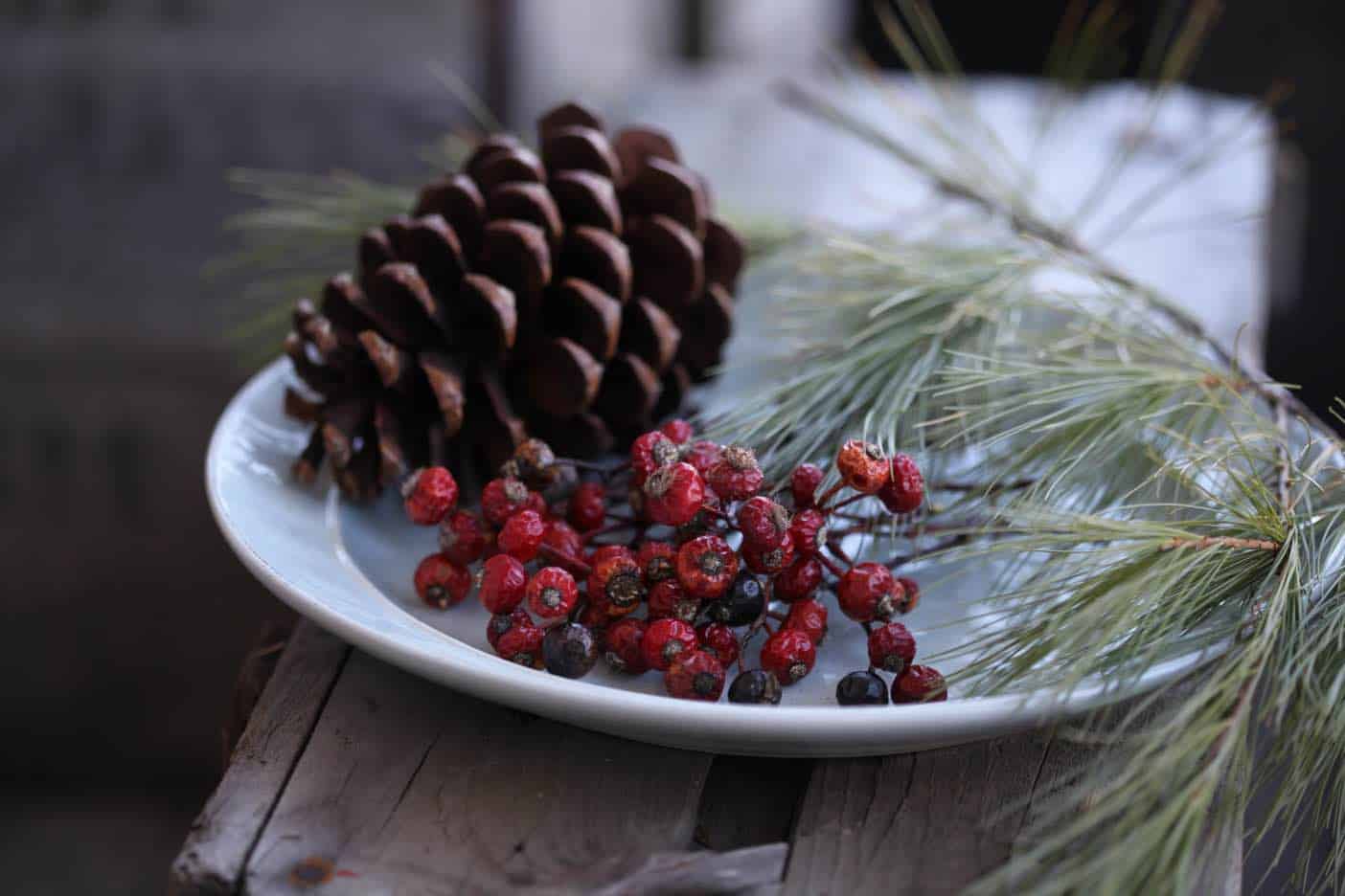 rose hips on a plate with a fir bough and a pine cone