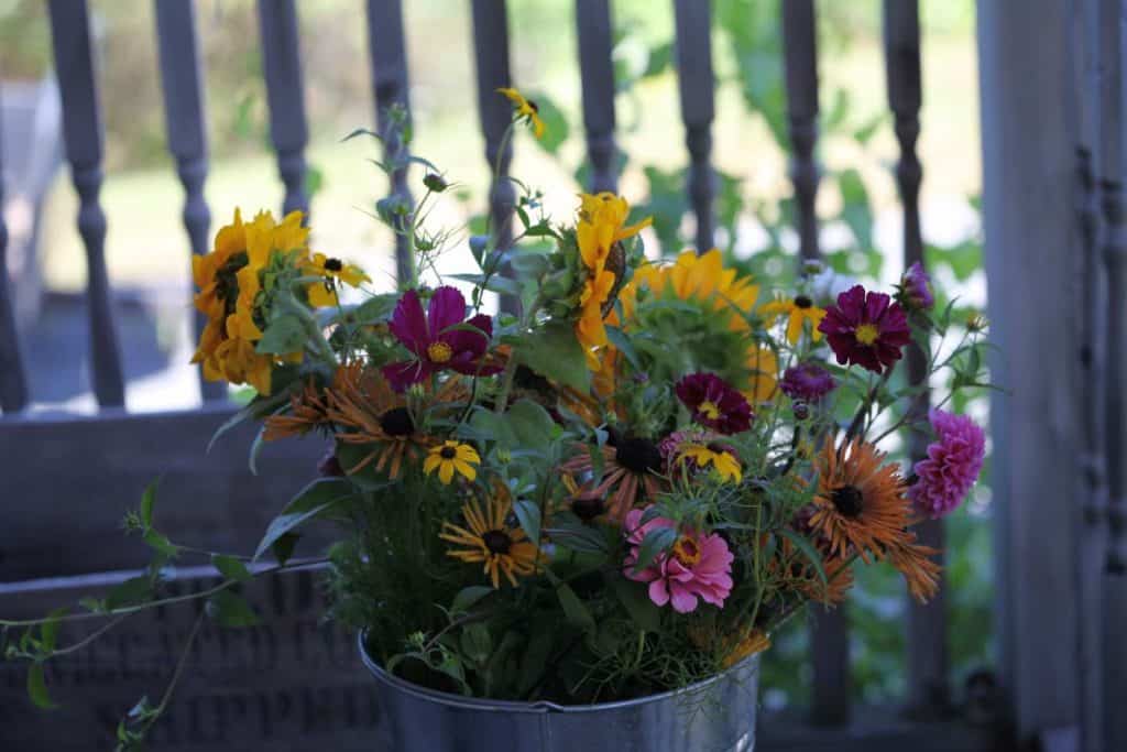 a bucket of mixed blooms of different colors