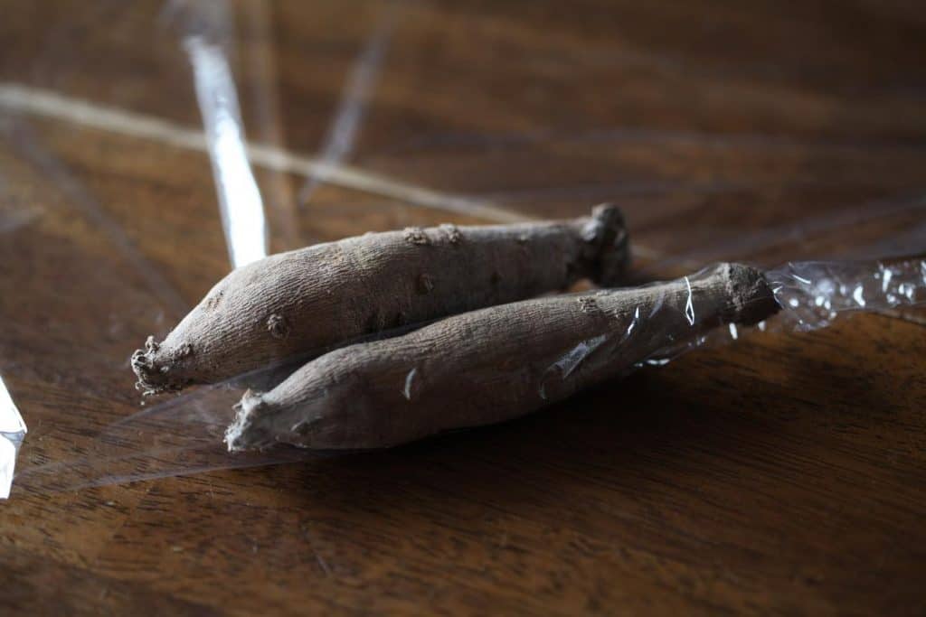 two dahlia tubers being wrapped in plastic wrap