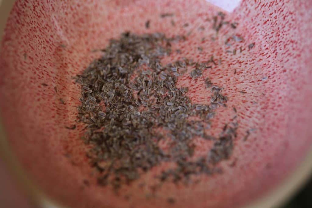 closeup of small yarrow seeds in a pink bowl