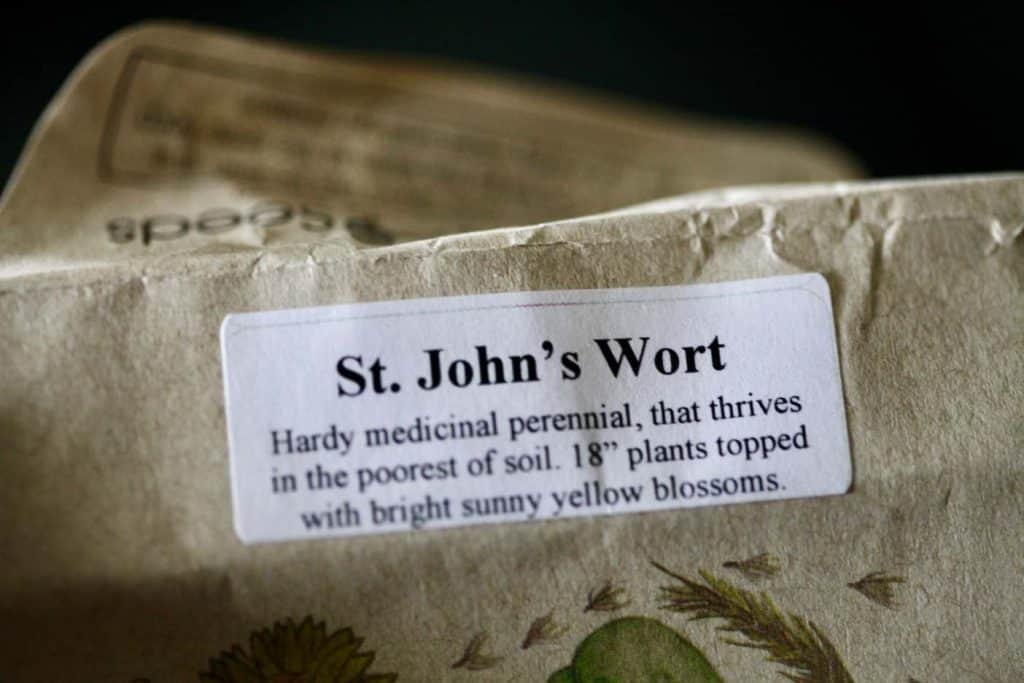 St. John's wort Hypericum perforatum seed packet, showing how to grow St. John's wort