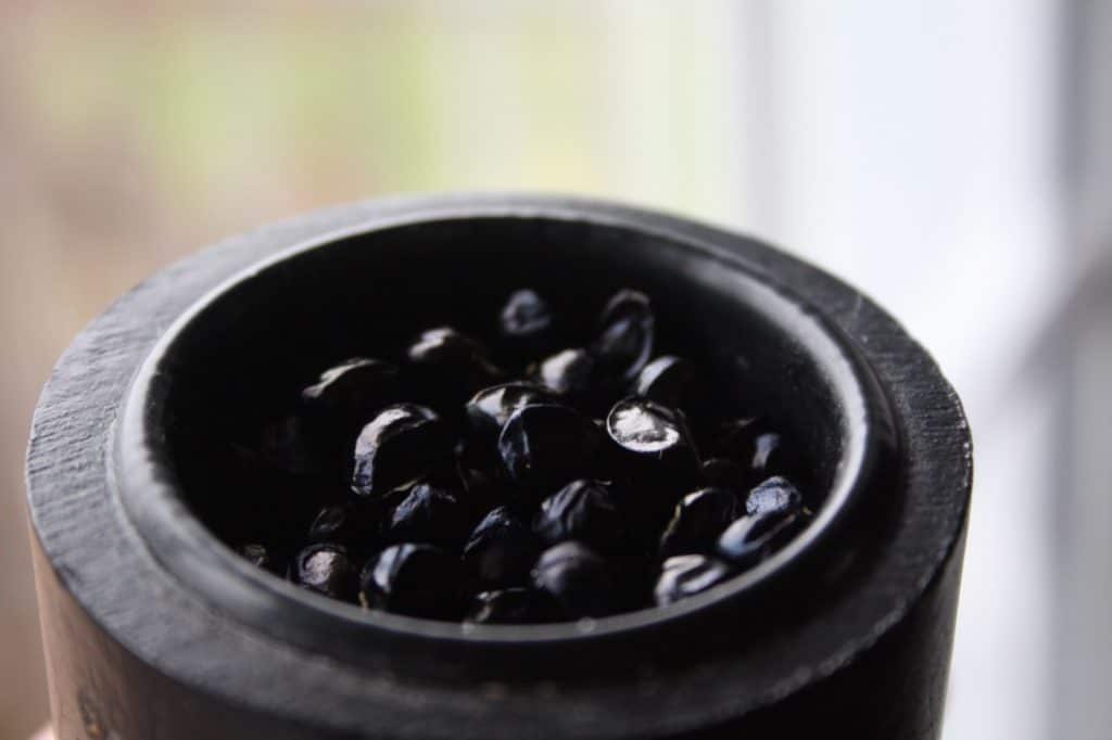 black and shiny daylily seeds, showing how to grow daylilies from seed