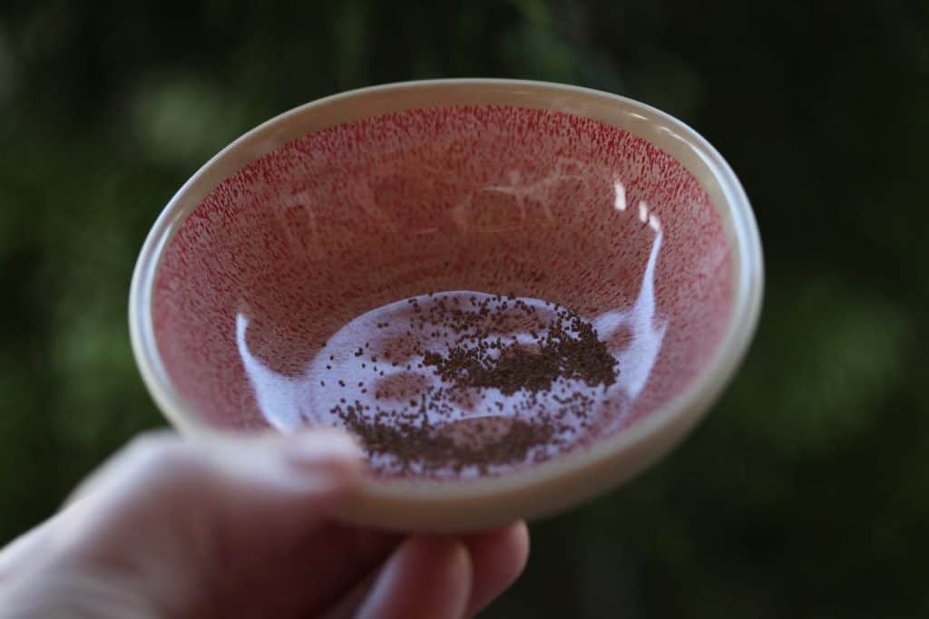 foxglove seeds in a pink bowl, showing how to grow foxglove from seed