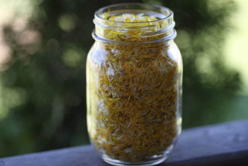 dandelion petals in a mason jar, with a green blurred background