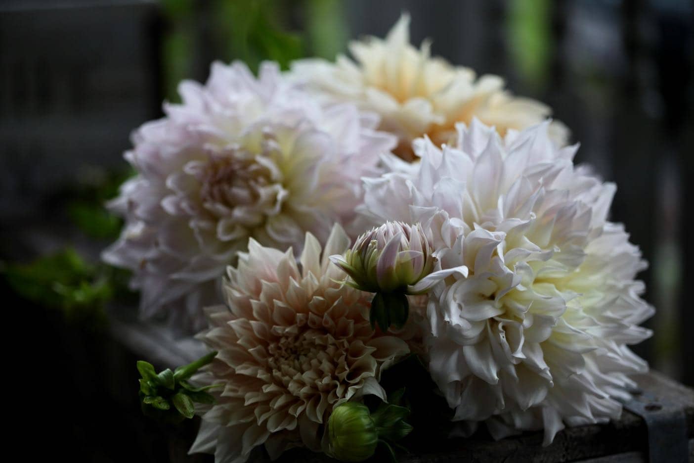 a bouquet of dahlias on a wooden crate