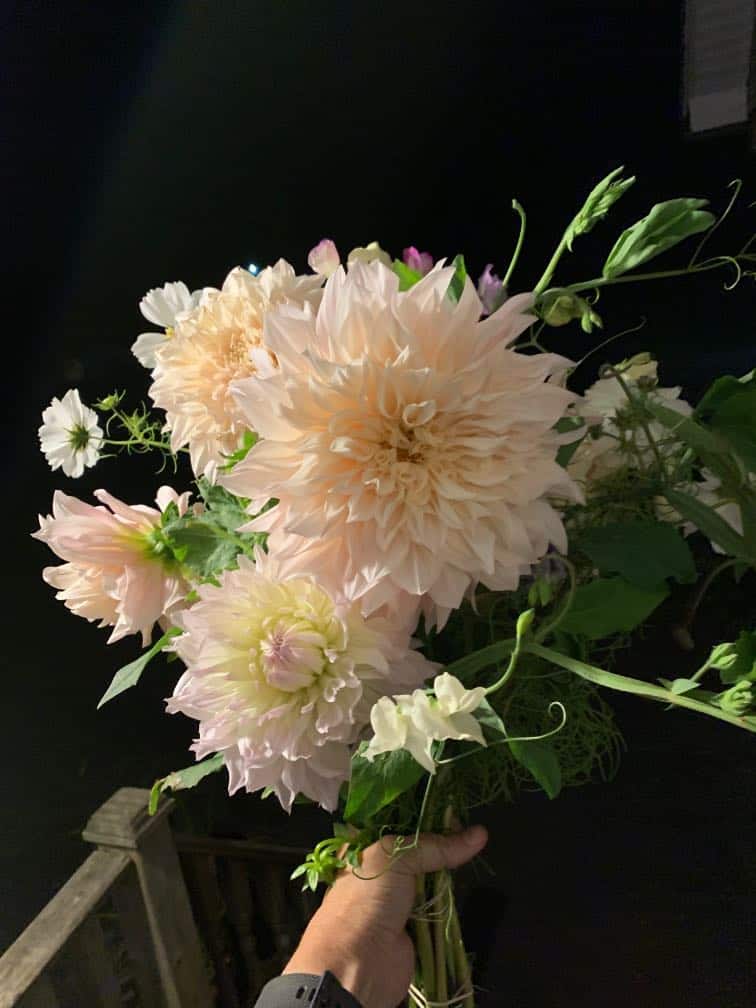 a bouquet with cafe au lait dahlias