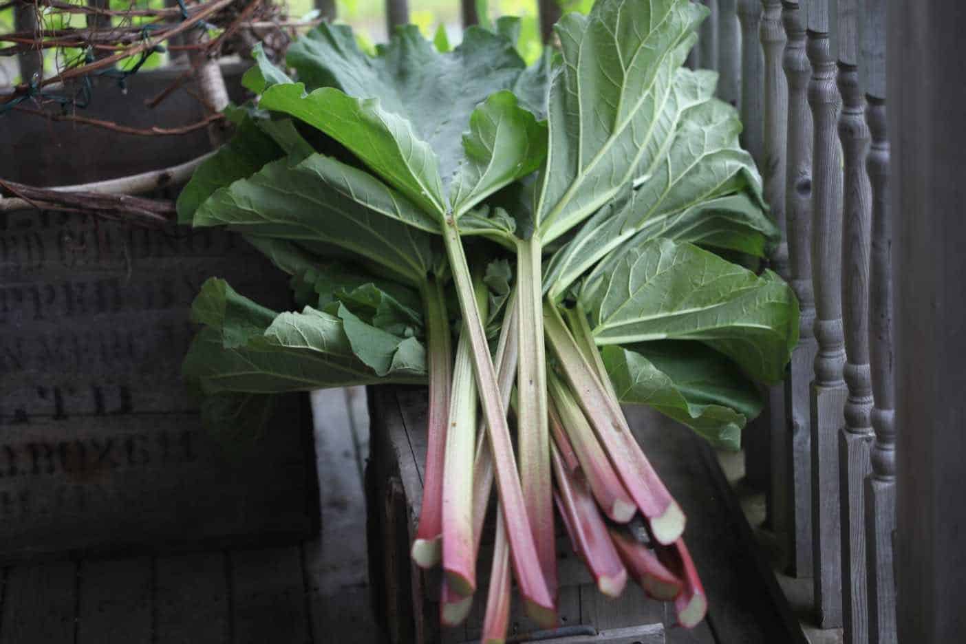 rhubarb stalks on a wooden crate