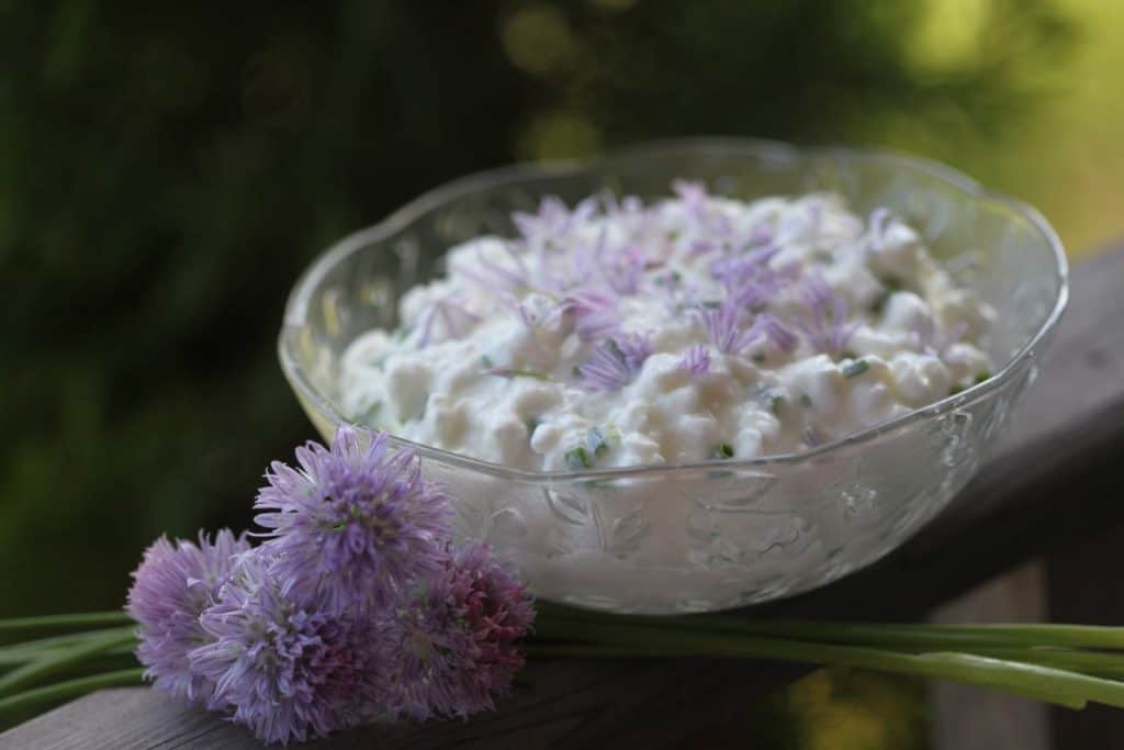 a clear bowl on a wooden railing with cottage cheese and chives, decorated with chive blossoms and petals