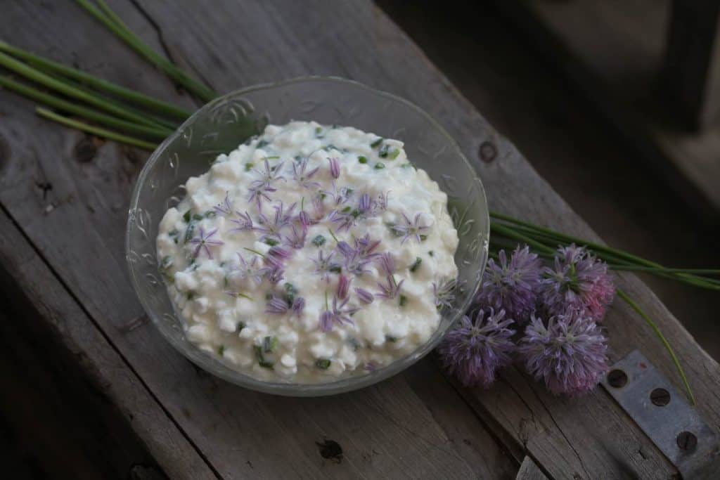 chive cottage cheese on a wooden board with chive leaves and chive blossoms