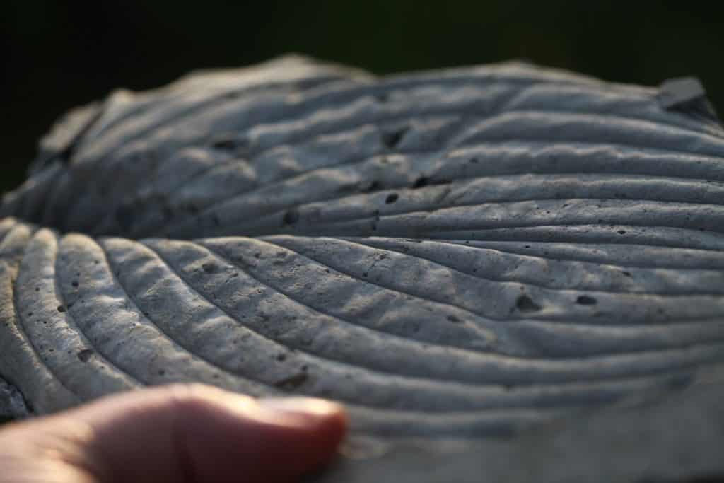 concrete leaf