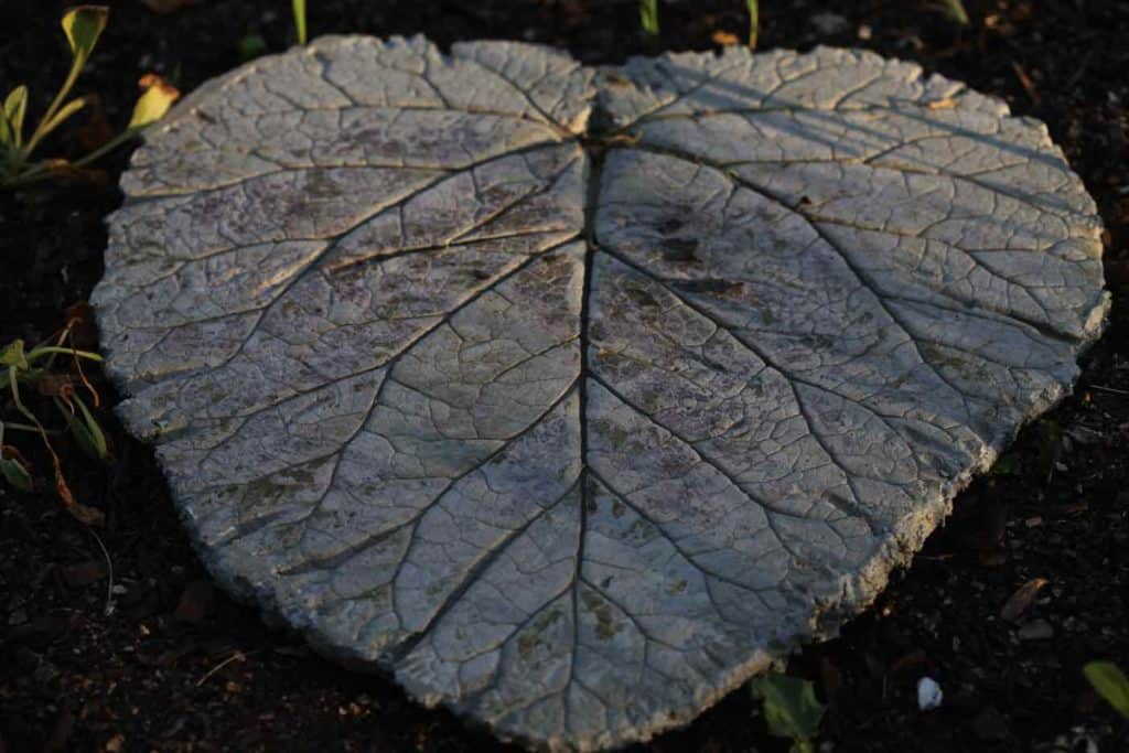 concrete leaf stepping stone in the garden