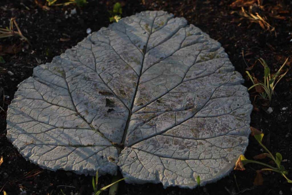 stepping stone made out concrete and shaped into a leaf with heavily veining