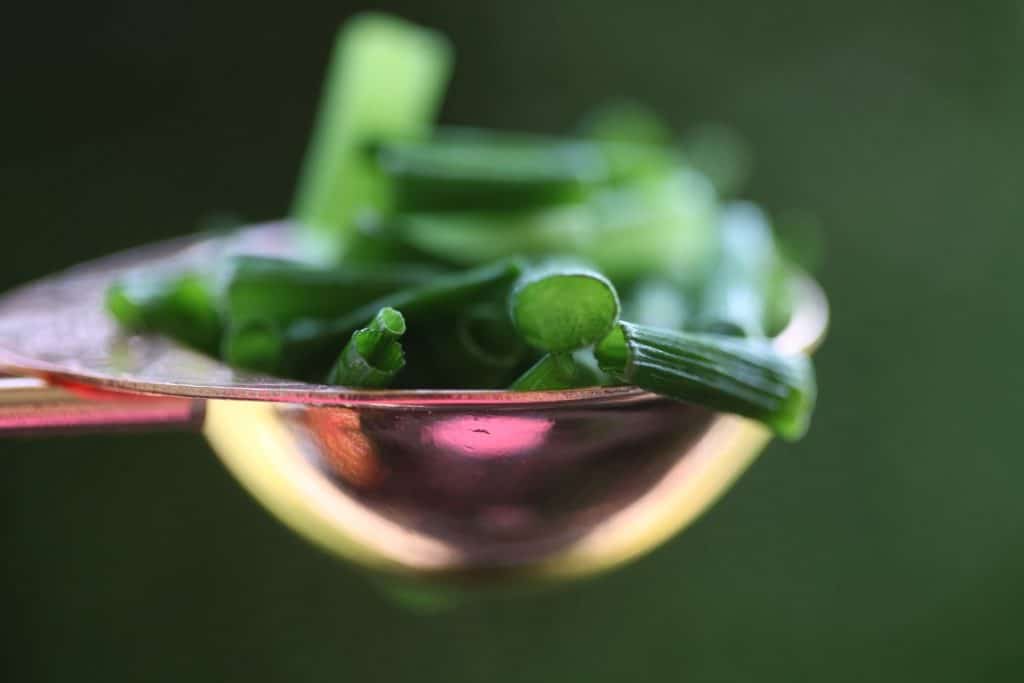 frozen chopped chives in a copper measuring spoon