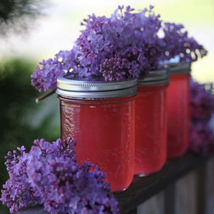 mason jars filled with lilac jelly, topped with fresh lilacs on a wooden railing