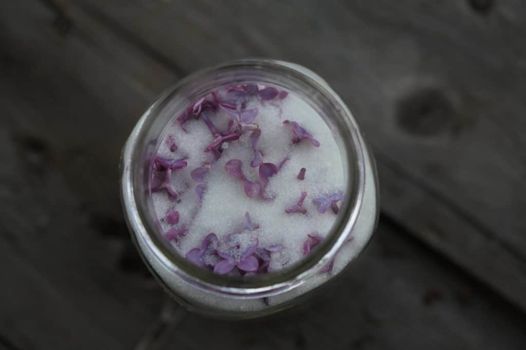 lilac petals in sugar