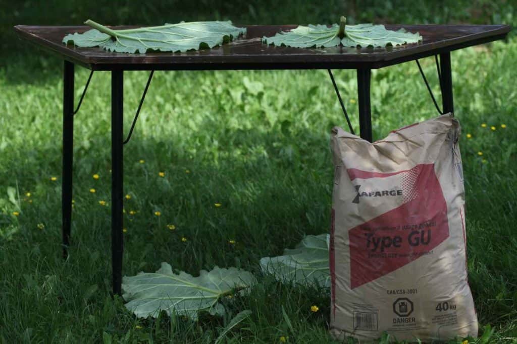 a table in the garden with rhubarb leaves on it and a bag of concrete beside it