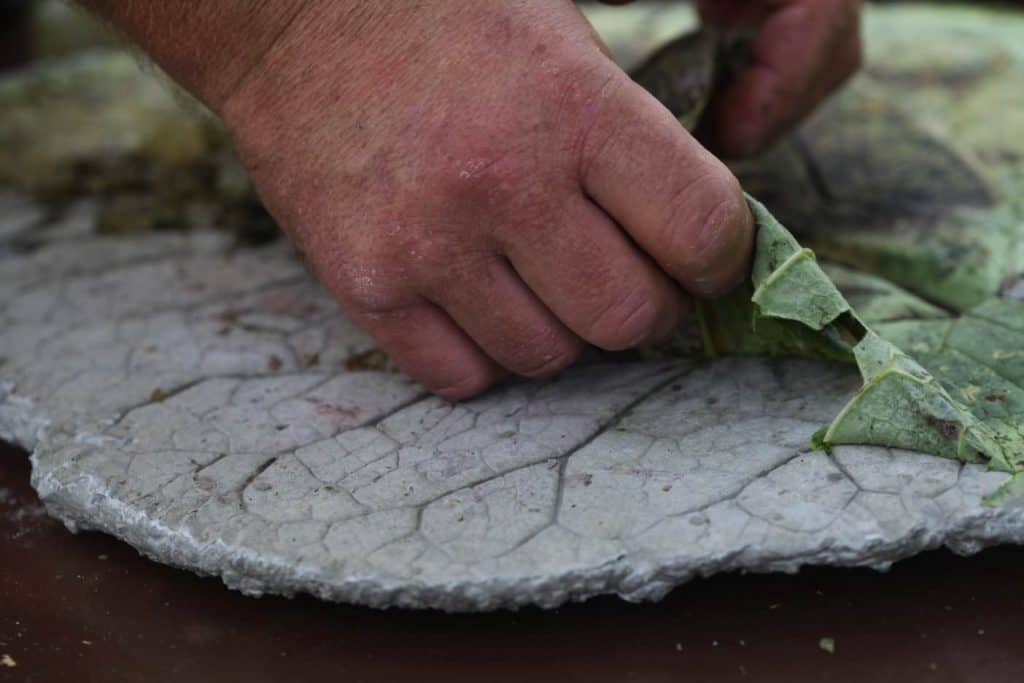 a hand pulling a leaf off a concrete stepping stone