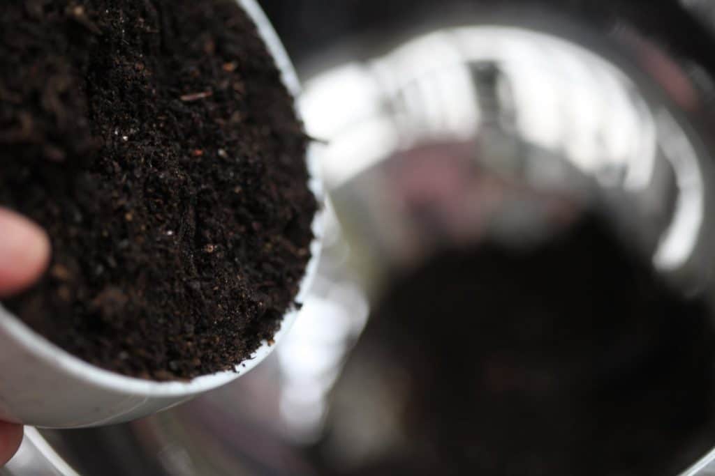 black compost in a bowl