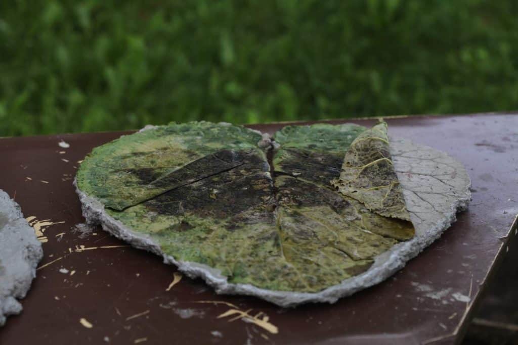 peeling a leaf off a concrete stepping stone which is sitting on a table