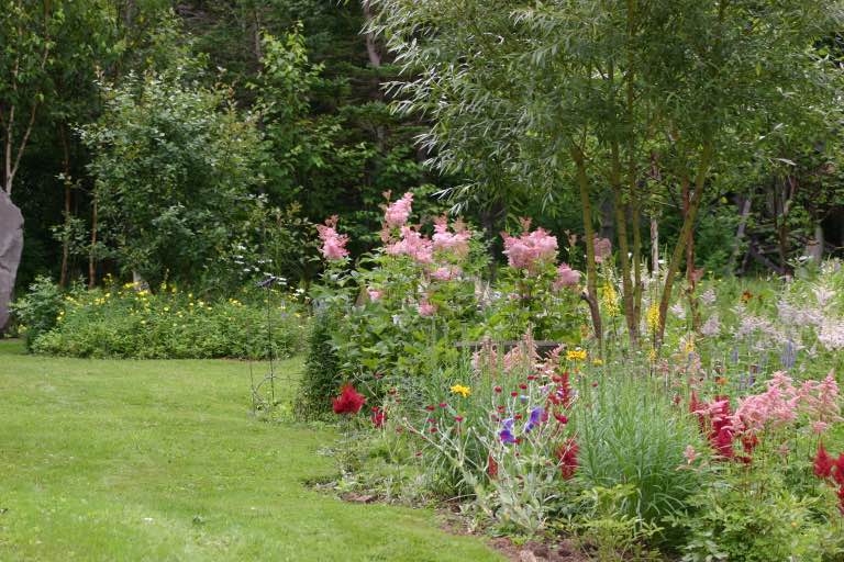 flower garden with many different coloured flowers