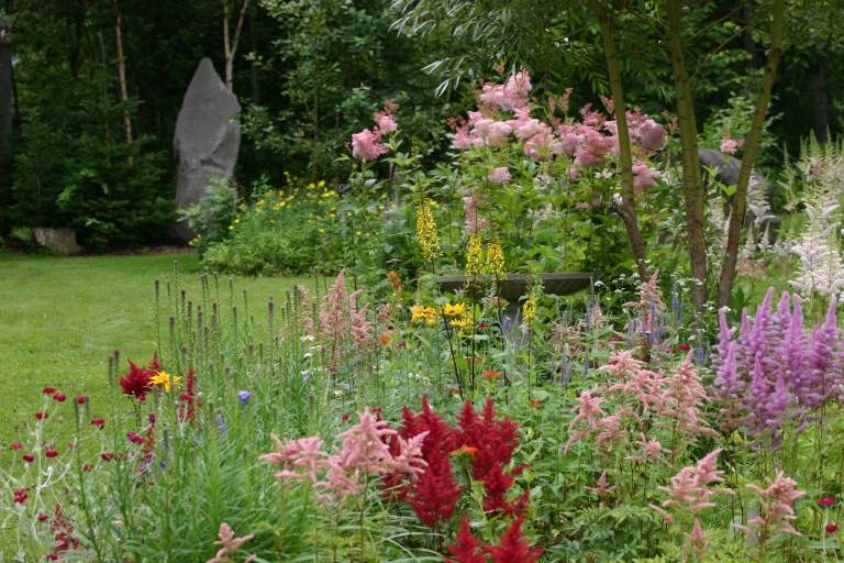 a garden filled with many different coloured flowers