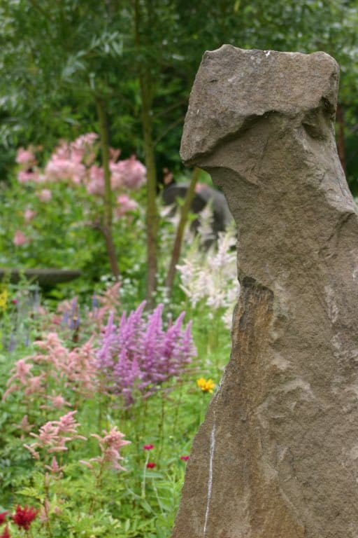 flowers growing next to a large rock in the garden