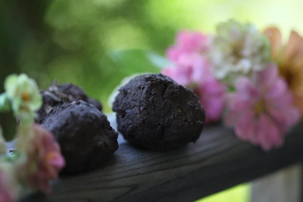 seed balls on a railing with zinnia flowers