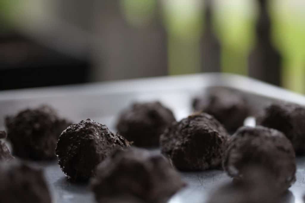 seed balls drying on a tray