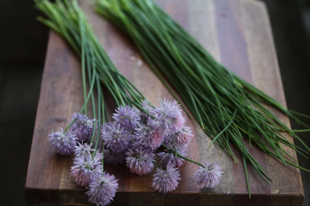 chive flowers separated from the chive leaves and placed on a wooden cutting board