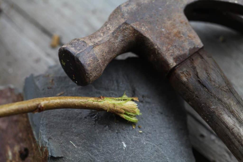 a hammer and a lilac stem smashed at the tip