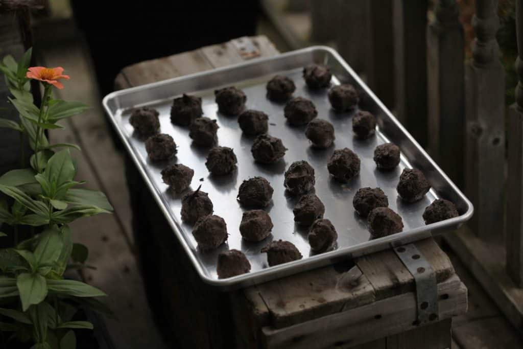 metal tray with round seed balls on a wooden box