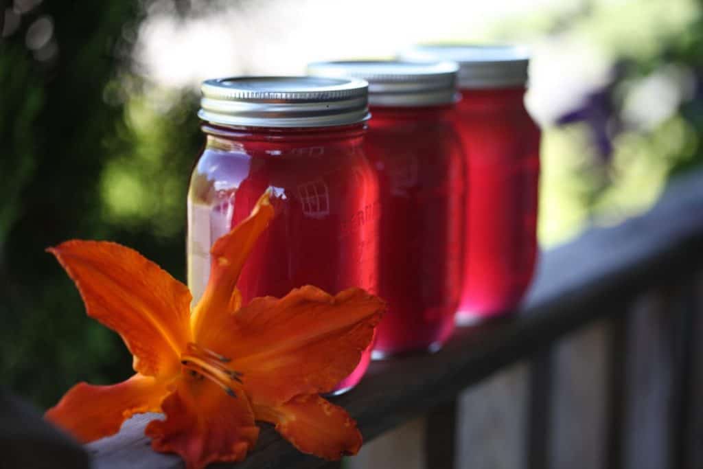 three mason jars of pink Daylily Jelly on a railing, next to an orange flower