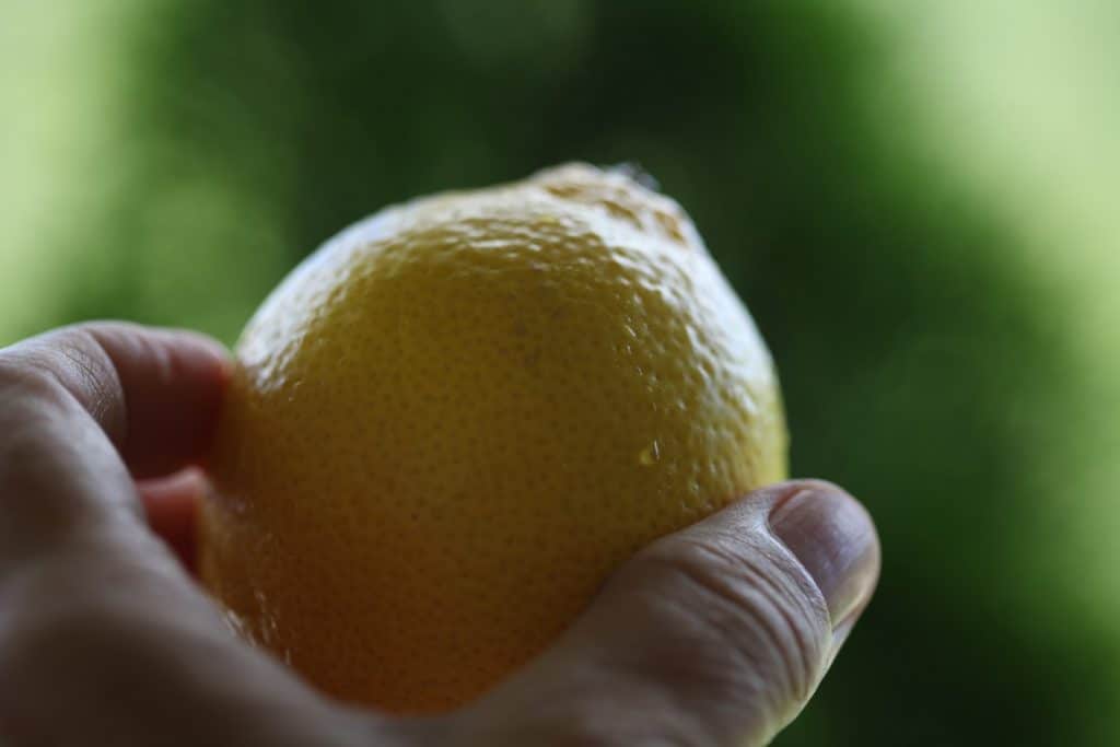 a hand holding up a yellow lemon against a green blurred background