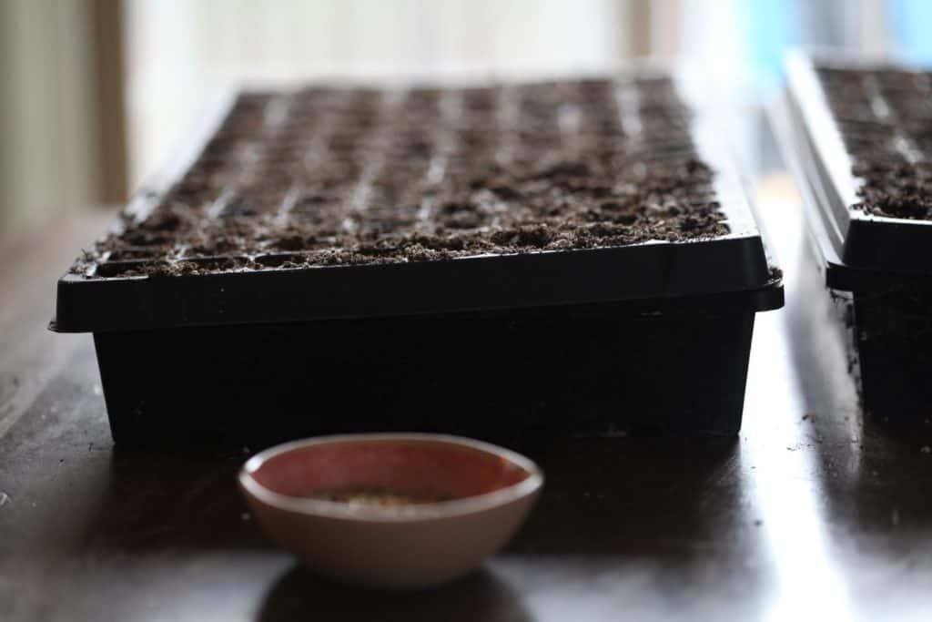 seed cell tray with soil and a pink bowl of vermiculite next to it