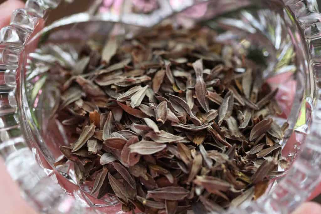 brown zinnia seeds in a clear glass bowl