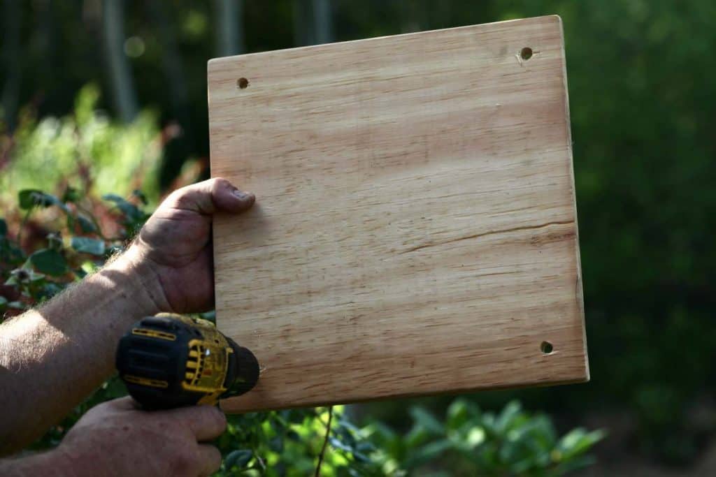 a hand holding up a wooden board drilling holes in each corner with a drill, against a green blurred background of trees